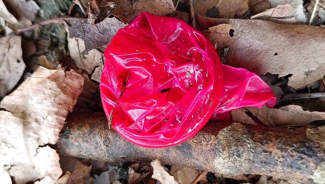 Used Condom #6