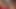女の子たちと出会おう