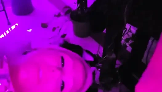 Pretty Party Smokey Kitty