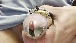 Geruïneerd orgasme in kuisheidskooi