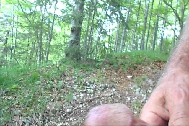 Wank in the forest ... and the birds are singing!