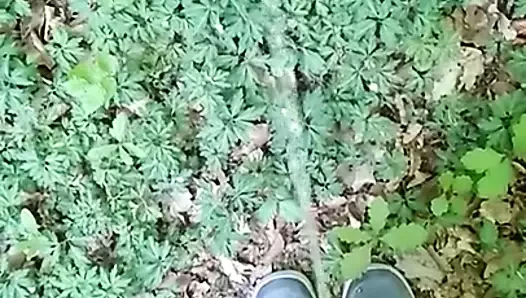 Pinkeln im Wald