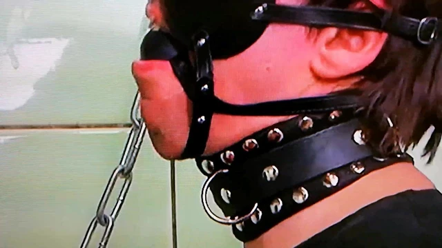 mini dick and balls tied up for this pile