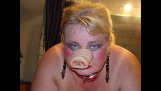 Debbie, neue Schweinefett