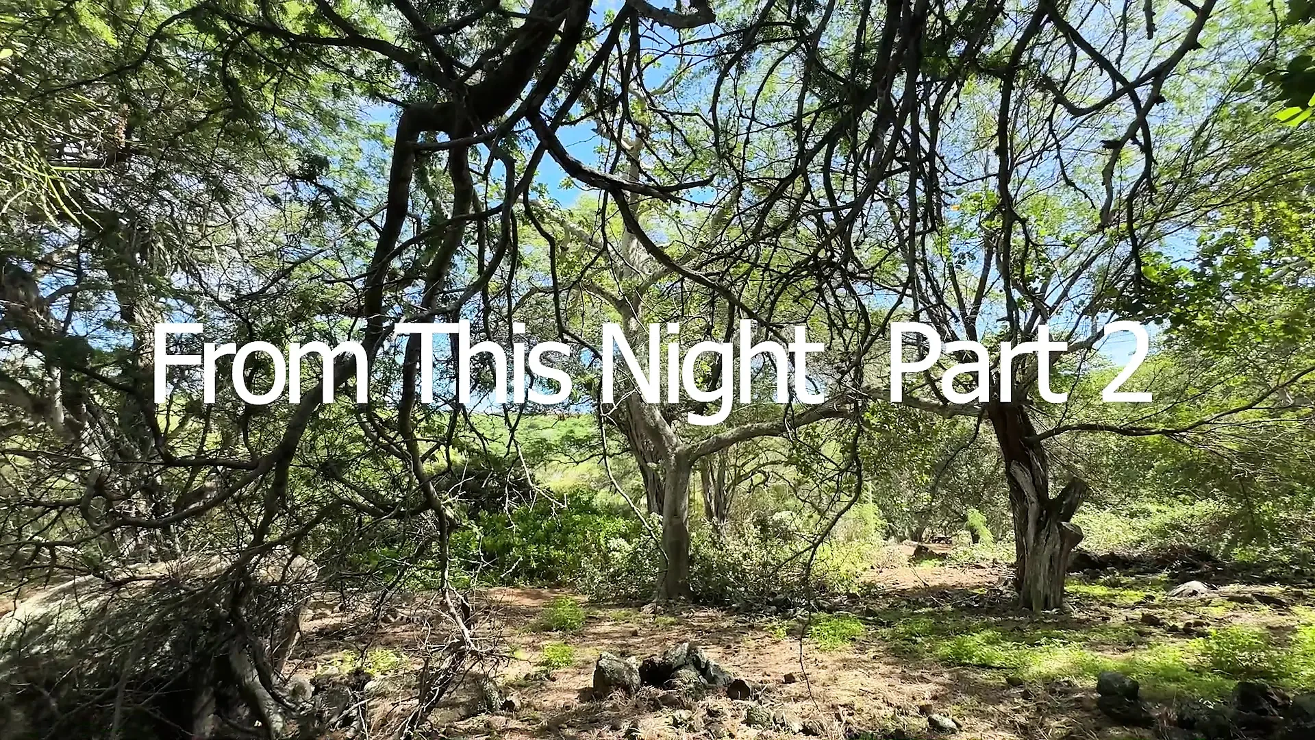 From this Night Forever More - 2nd Installment feat. FromThisNight by ...