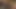 Vollbusige Küken gegen BBC