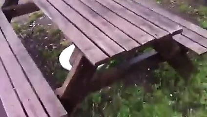 Cum içinde kamu park