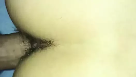 Stella1