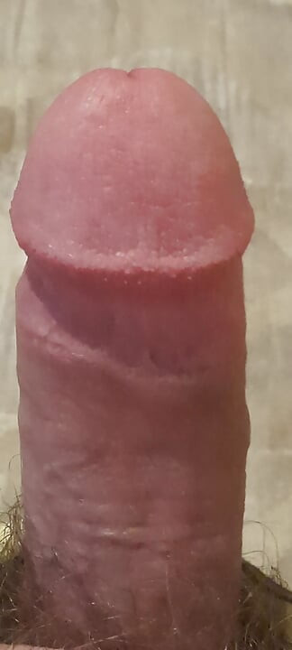 내 자지를 보여주고 빠는 준비