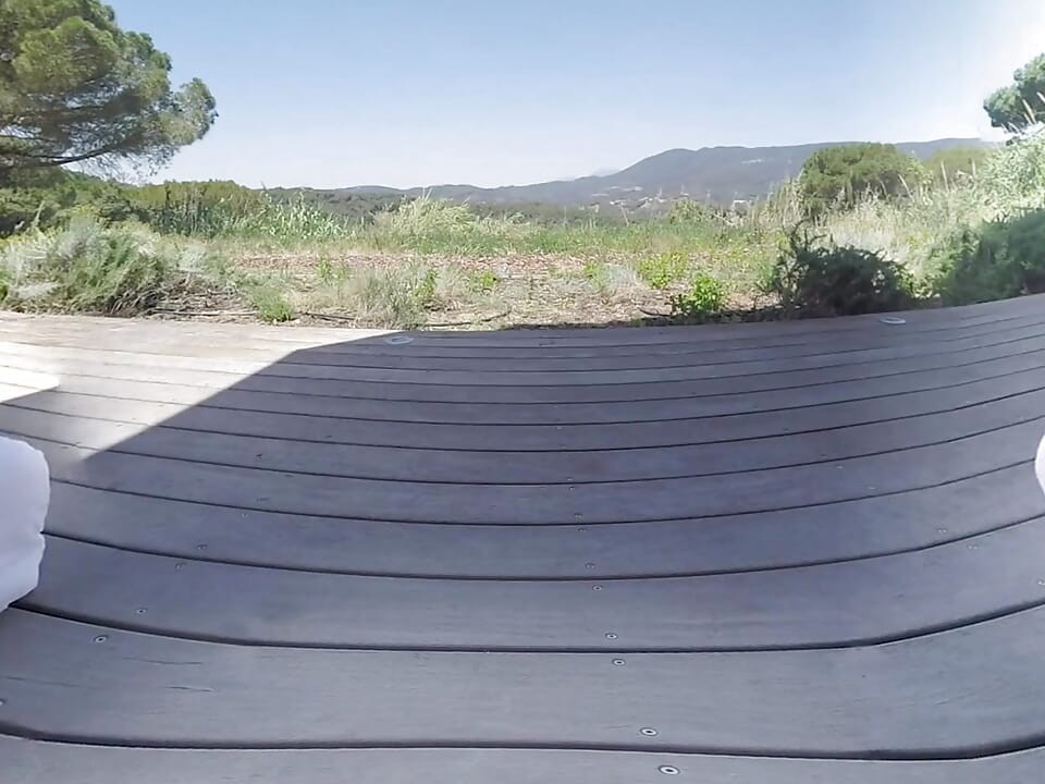 Two Hot Couples Fuck Outdoors