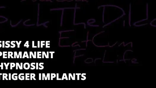 Pemicu permanen nyawa banci 1