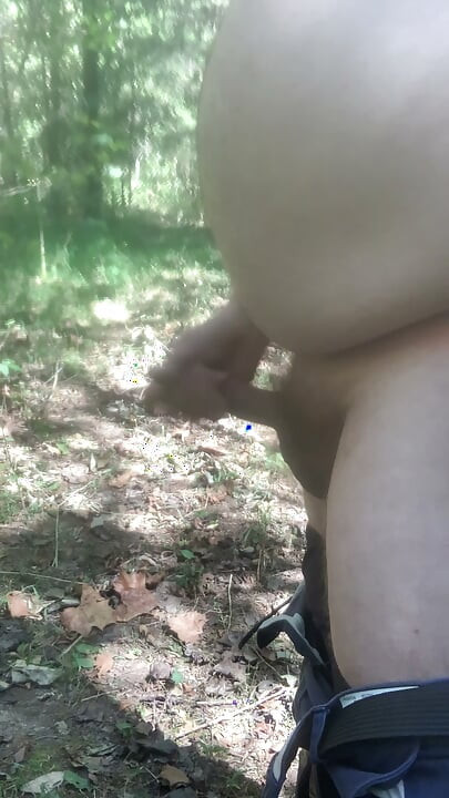 En el bosque