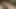 Dp for hairy wife
