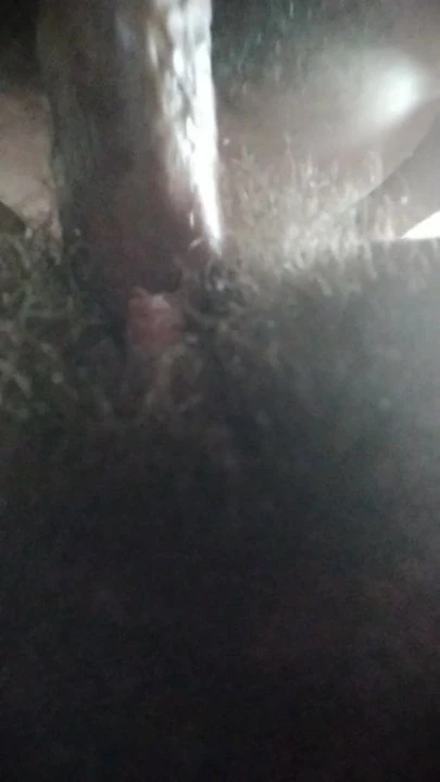 Very hairy Dana gets penetrated, as if you were there.