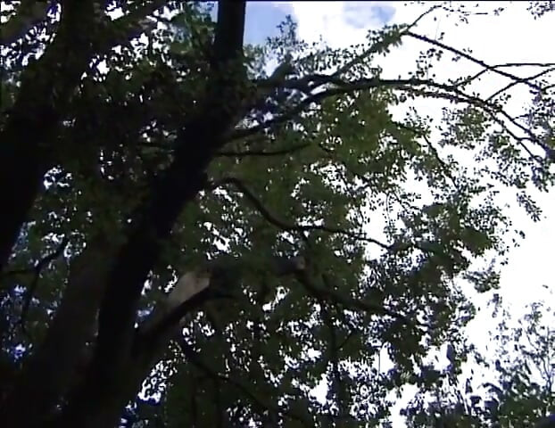 Top modeli gutaju pišaćku