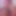 Ass Zoom and Masturbation