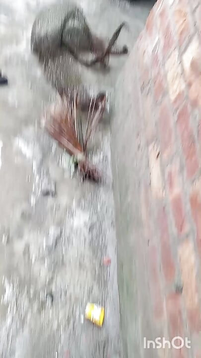 Pakistan viral video Pakistani TikTok star viral sexy video