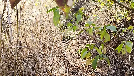 Aku ngentot pacar lamaku di hutan