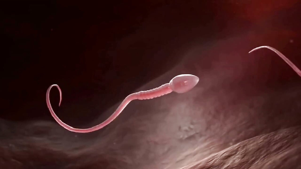 Clinica de fertilitate - Călugăria