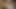 Dampfiger Vierer mit diesen zwei spermahungrigen blonden Schlampen