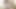Black stud with dread locks fucks light skinned ebony slut's shaved pussy