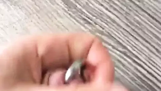 Bir balıkçıl sandravotz haraç