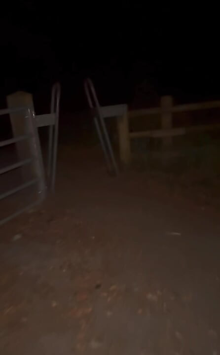 Naked wanking and showing off in woods with passing cars