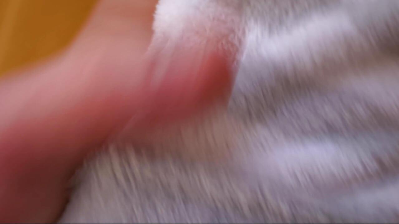 Hot busty stepdaughter Dada Deville caught watching pornShe loves my cock and anal sex. Intense squirting orgasm