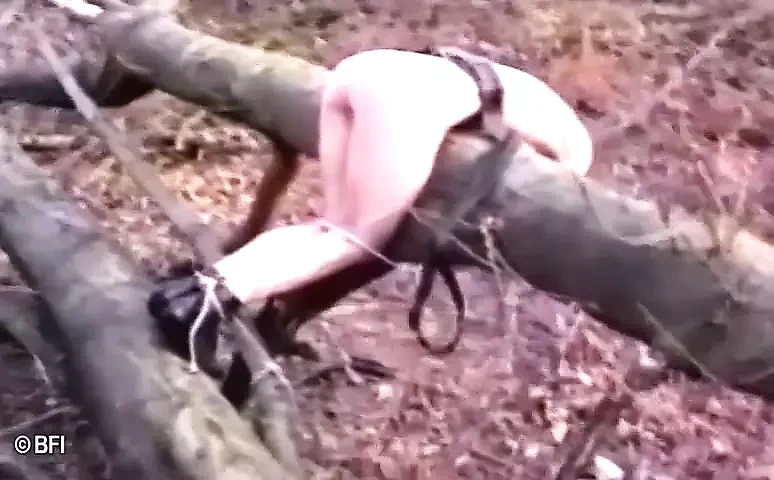 Black master dominates his pet sub DVD
