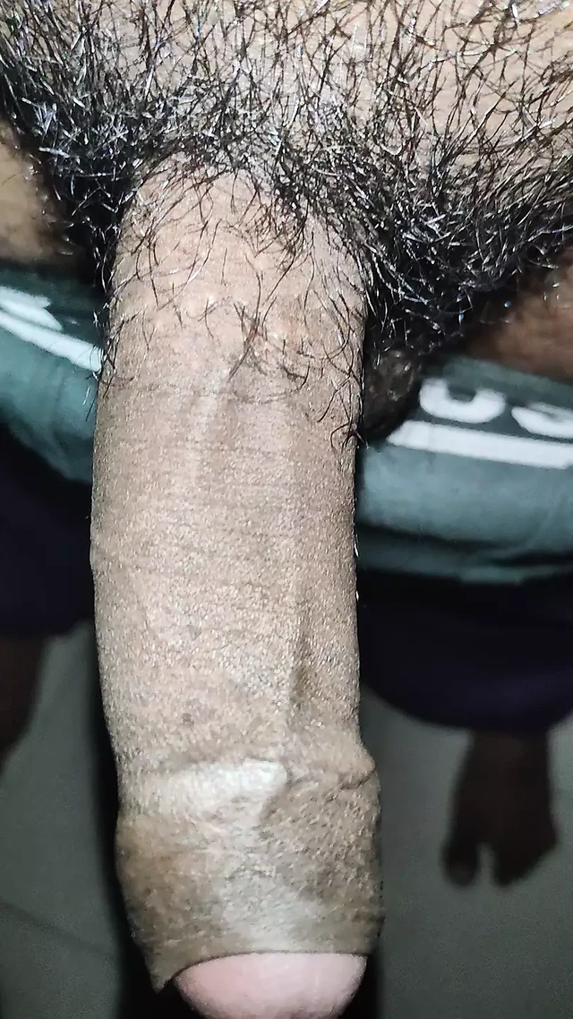 My big desi hairy cock