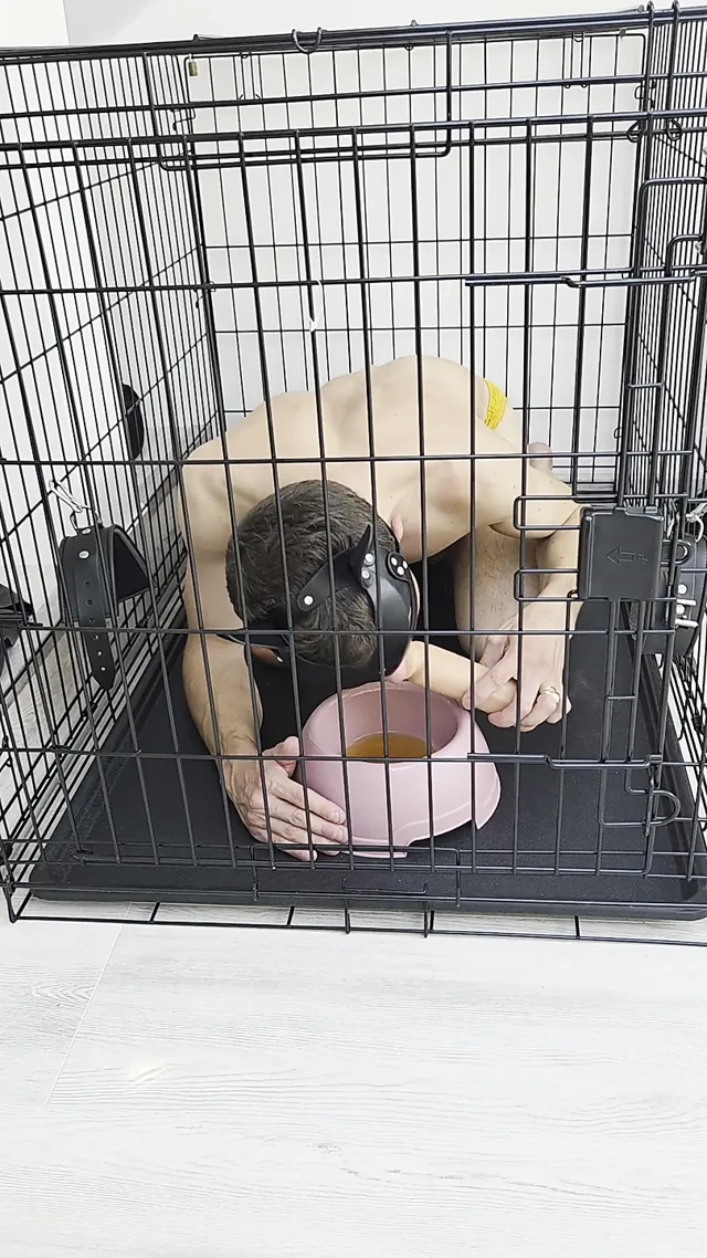 Bitch caged slut pisses and dildos