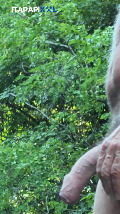 Ayah di hutan menunggumu.
