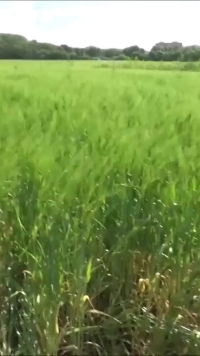 Memorable moment from "German Bitch Seduce to Fuck Outdoor by Two Stranger for Cash"