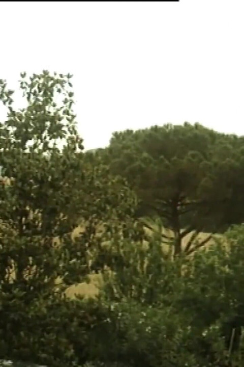 Marina nimfomana sexy