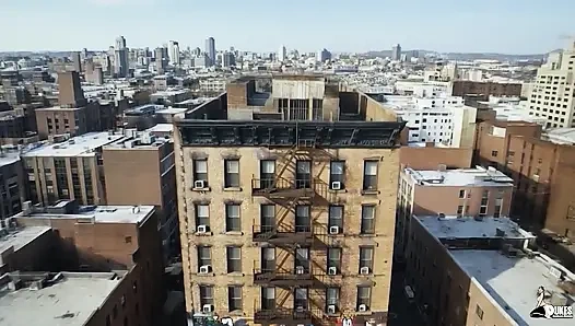 Kompilasi trailer Dukes Hardcore Honeys 2026 pt 1