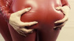 Pregled videozapisa