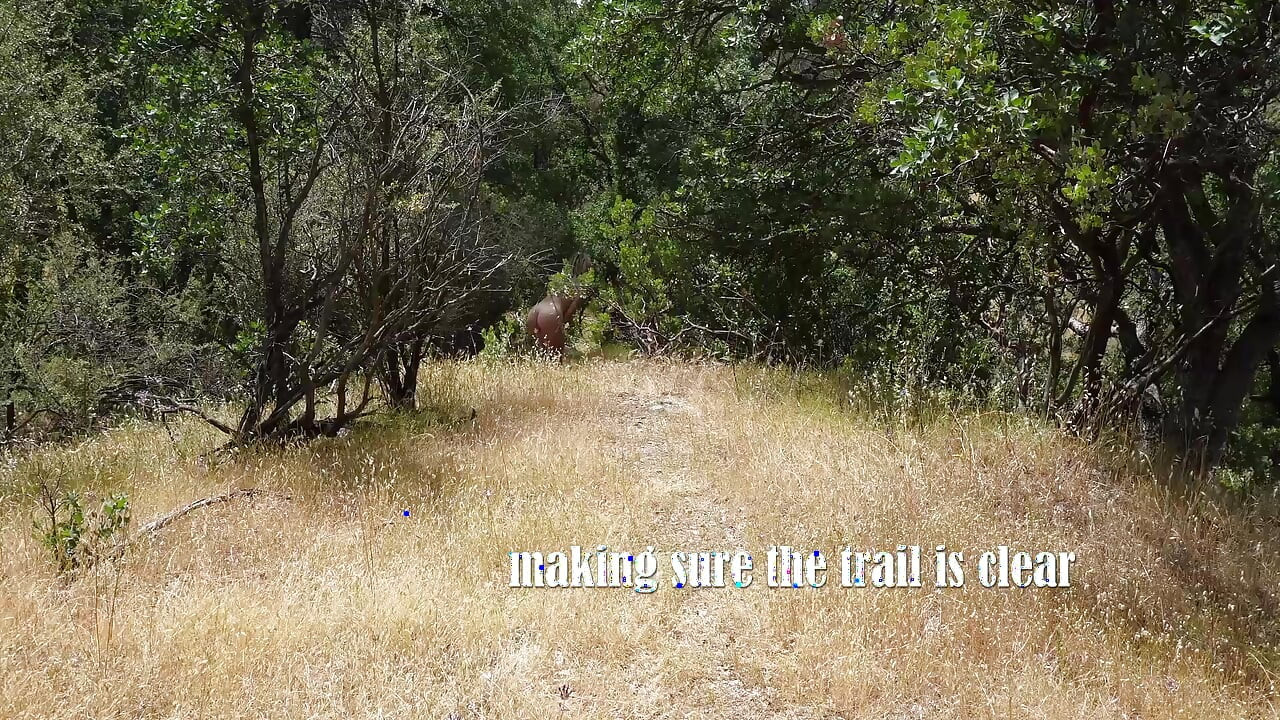 Outdoor Doggy Style Compilation