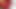 Red Slip wanking