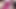 Petite asian college doll teen with hairy pussy cry at porn casting