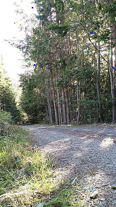 Наїзниця на скутері, мастурбація на відкритому повітрі