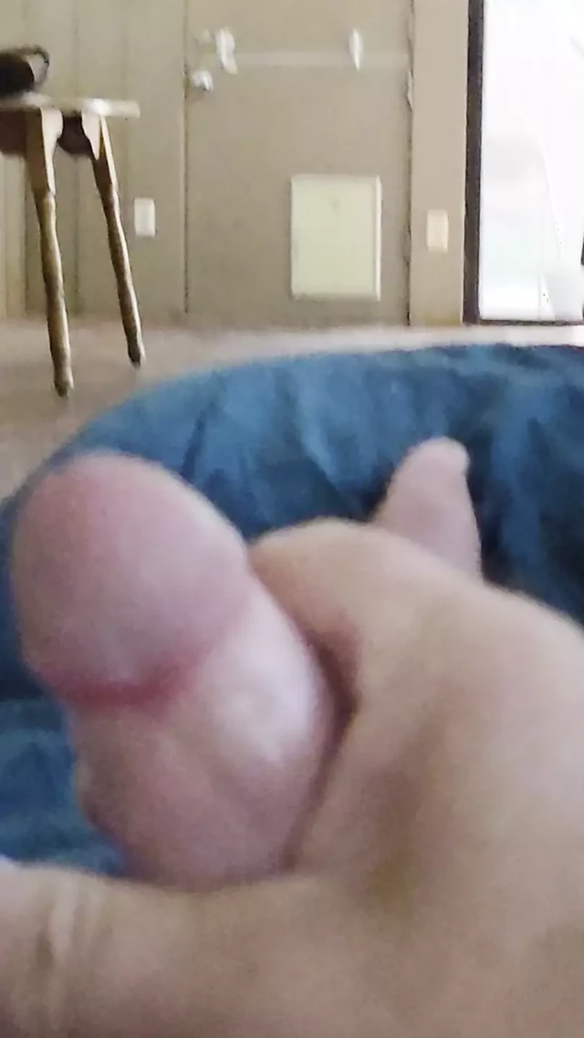 BRIANSSEVEN