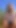 Spectacular moment from "German amateur milf makes real holiday fuck user meeting via EroCom"