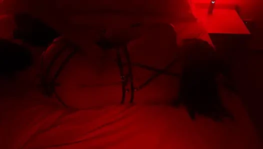 Red Room with My Lover While My Husband Is at Work