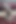 Çift dildo sikiş trans ve kız yeni seks oyuncağını deniyor