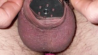 Flat chastity cage penis check