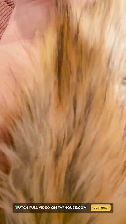 Foxtail fişi kıçta