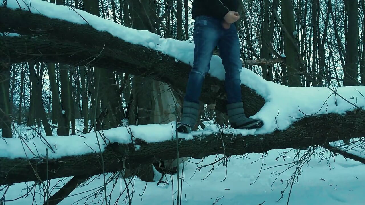 Χειμώνας Jerking μακριά στο δέντρο