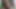BBW Squirts on Huge Black Dildo