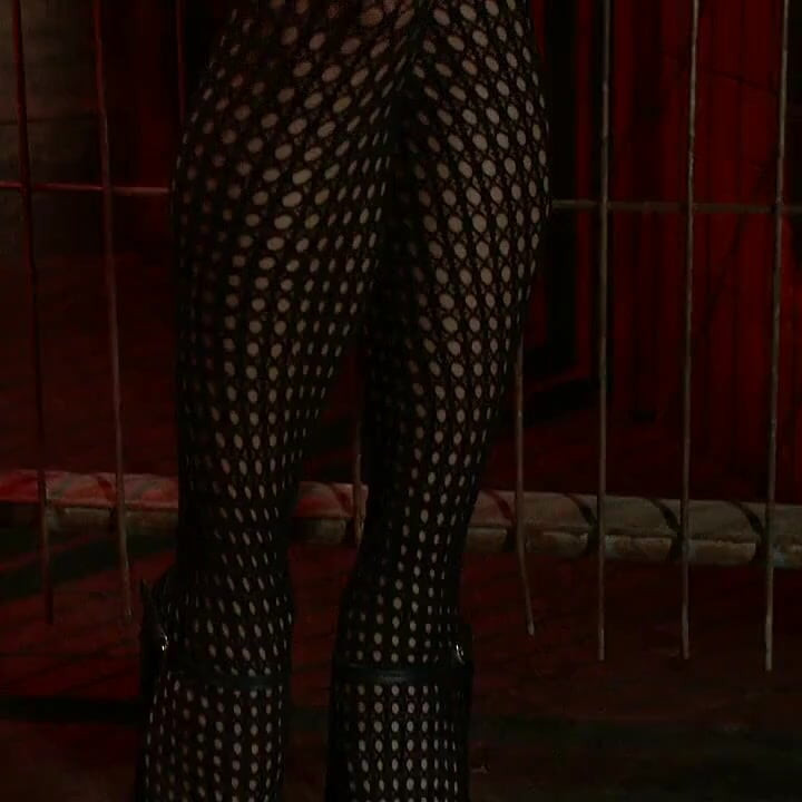 Fishnet Anal