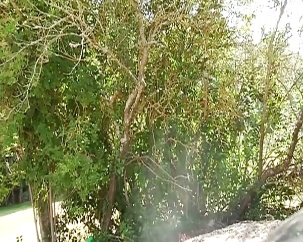 Perfect French MILF Anal Penetrated by Lover